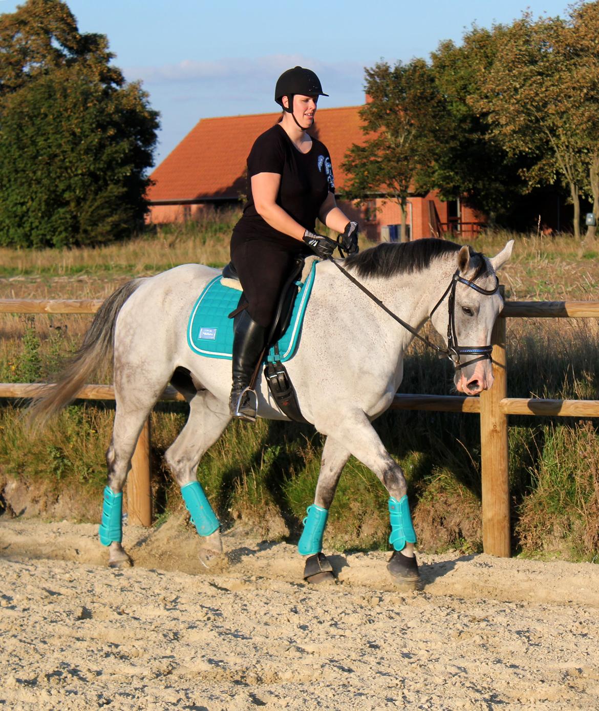 Holstener Fruerholm's Adonis *For Evigt Elsket <3* - Dressur træning med vores nye RBH sæt i farven Fanfare Green :) billede 15