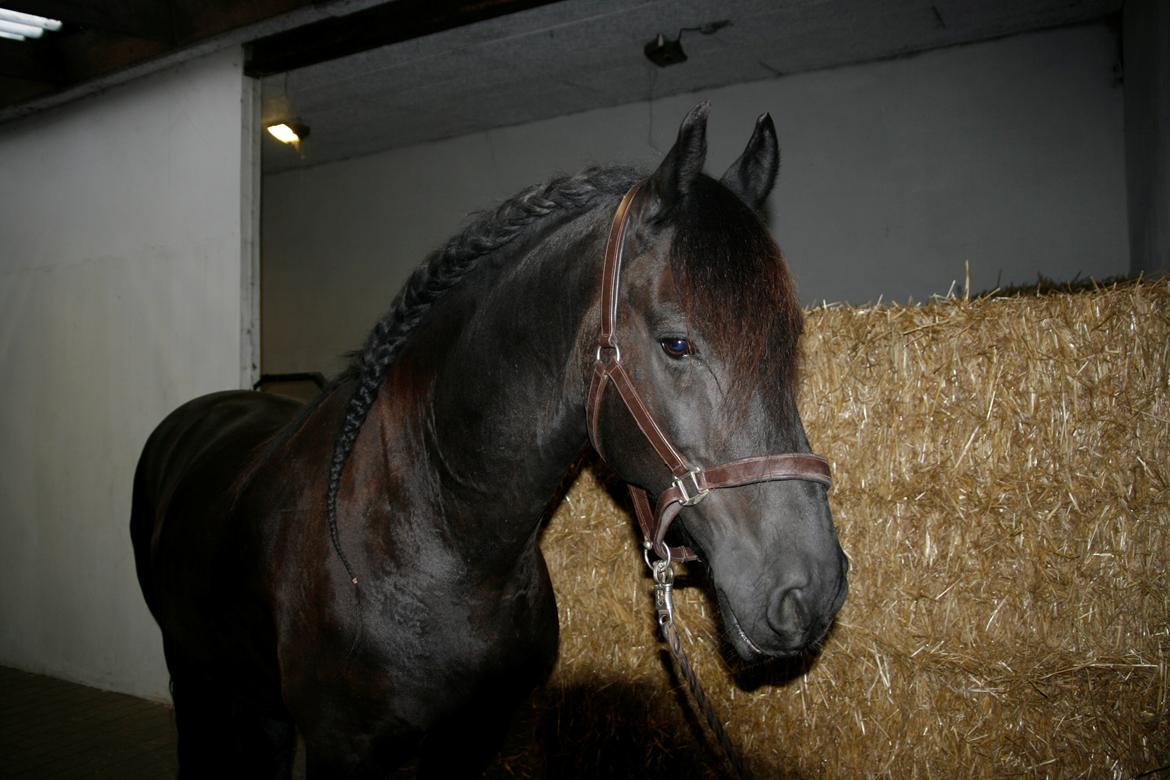 Frieser Jisk fan è Drifte billede 17