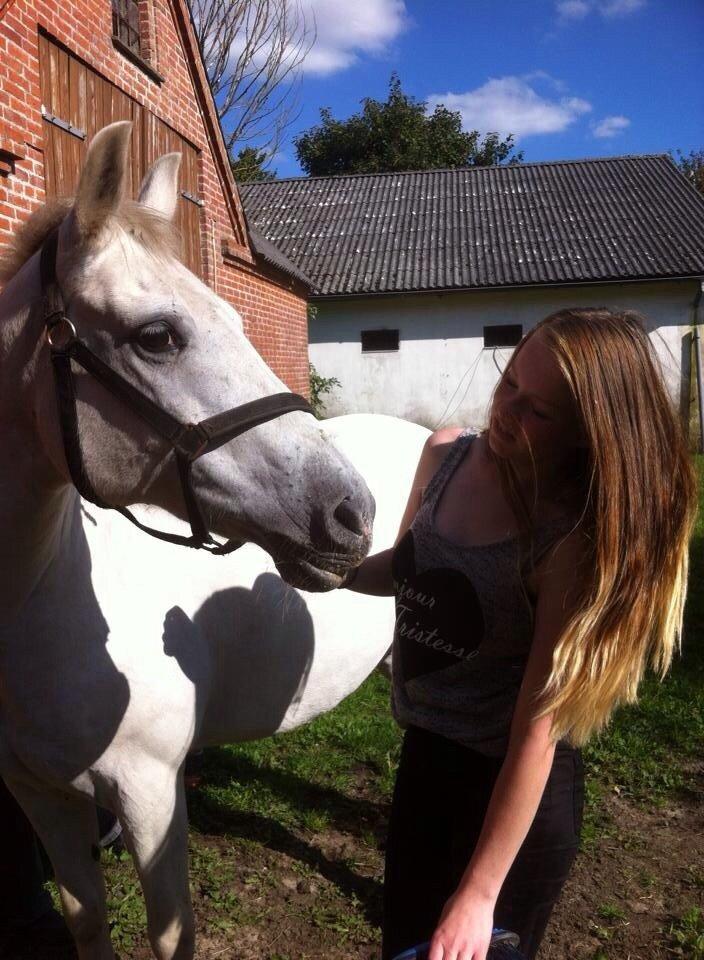 Anden særlig race Fila| Mulle<3| Hvil i fred min engel<3 - And, darling, I will be loving you 'til we're 70<3 billede 4