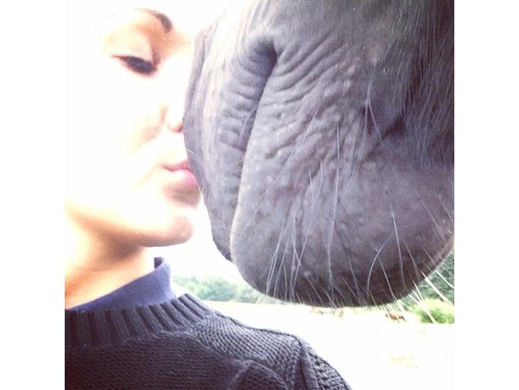 {{currentPhoto.altText}} billede {{currentPhoto.number}}