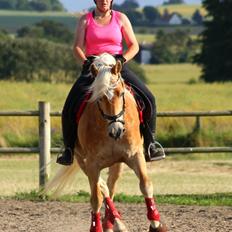 Tyroler Haflinger Haily af Elghuset (Har redet)