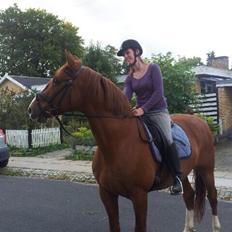 Frederiksborg Baron Skingelsbjerg