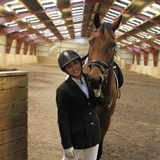 Dansk Varmblod Libak's Zeus