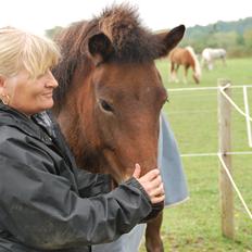 Islænder Pyrniros fra præstemosevang
