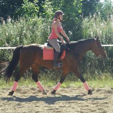 Oldenborg Brusgårds Maricca