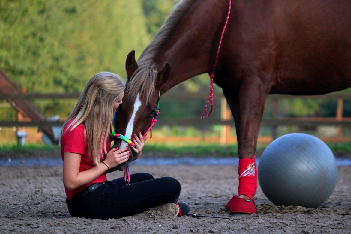 Anden særlig race Sasha billede 14