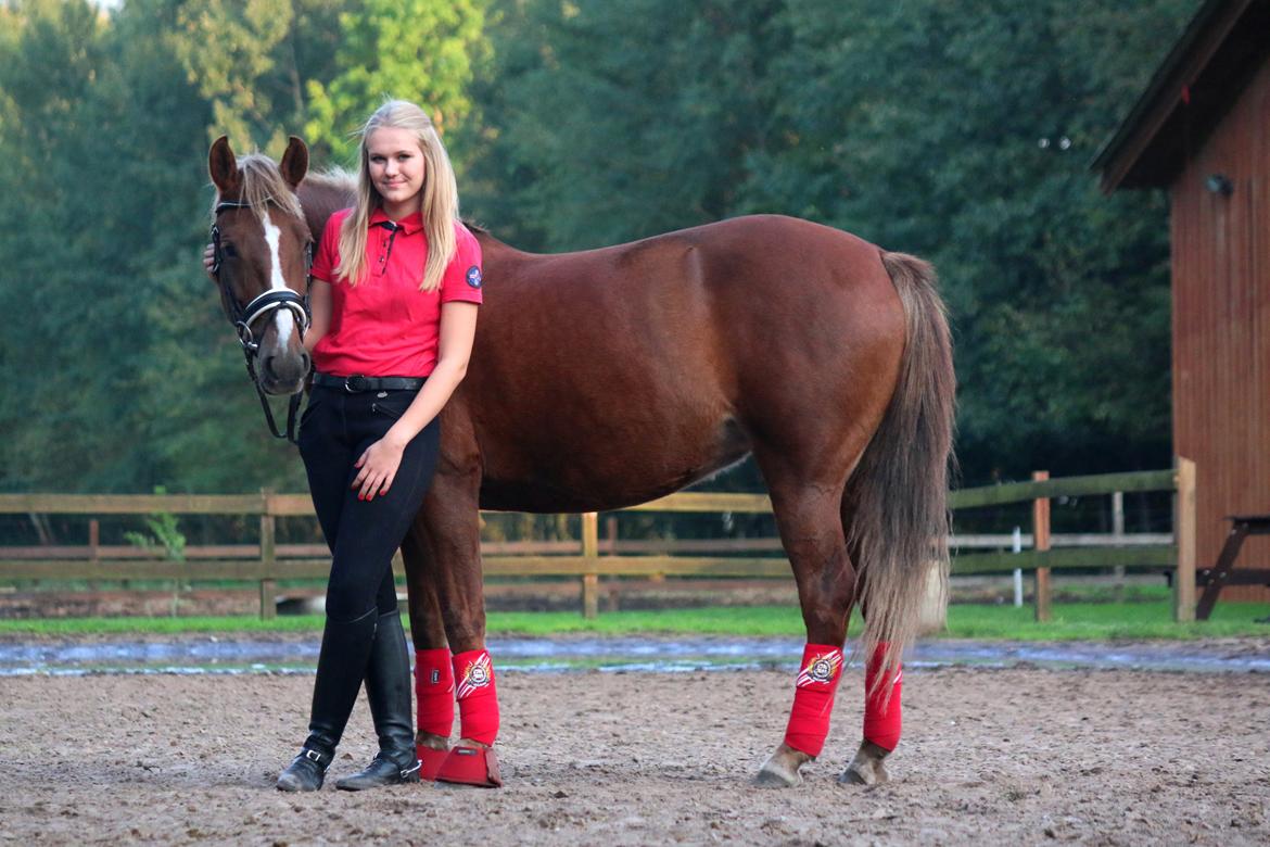 Anden særlig race Sasha billede 2