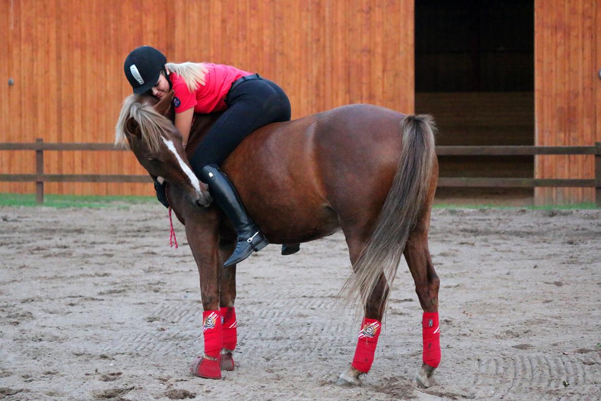 Anden særlig race Sasha billede 17