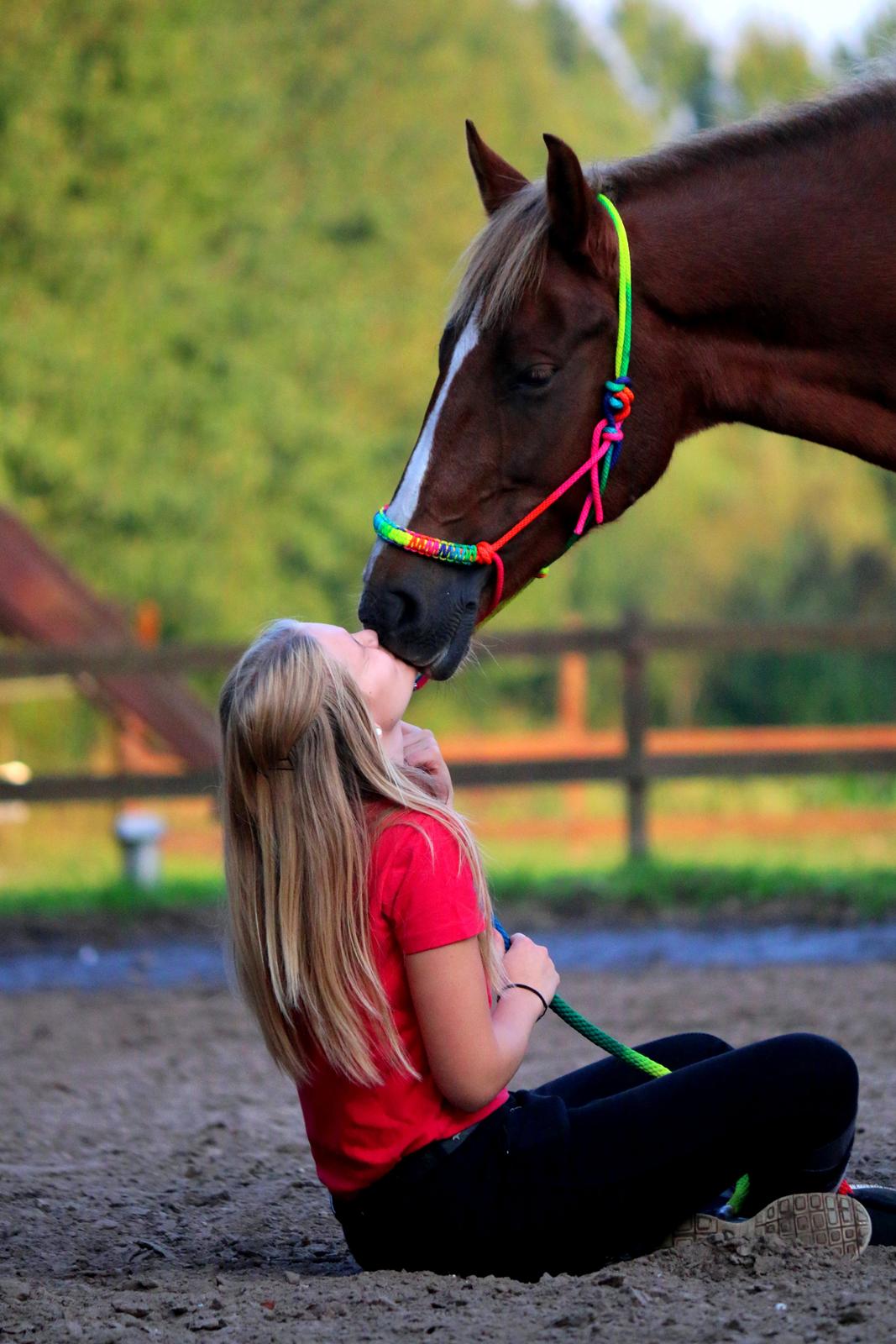Anden særlig race Sasha billede 10