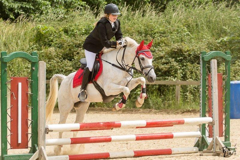 Anden særlig race Gadehøjs Caridee Himmelhest billede 20