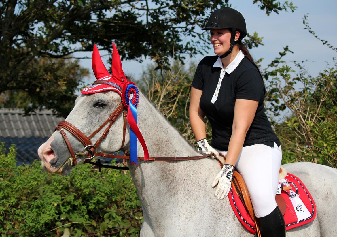 Holstener Fruerholm's Adonis *For Evigt Elsket <3* - Stævne i BDR - roset i 60cm :) billede 9