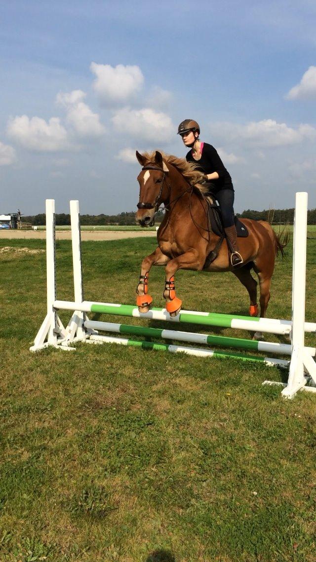 Frederiksborg | Ajaxander Jones (Ajax) billede 7
