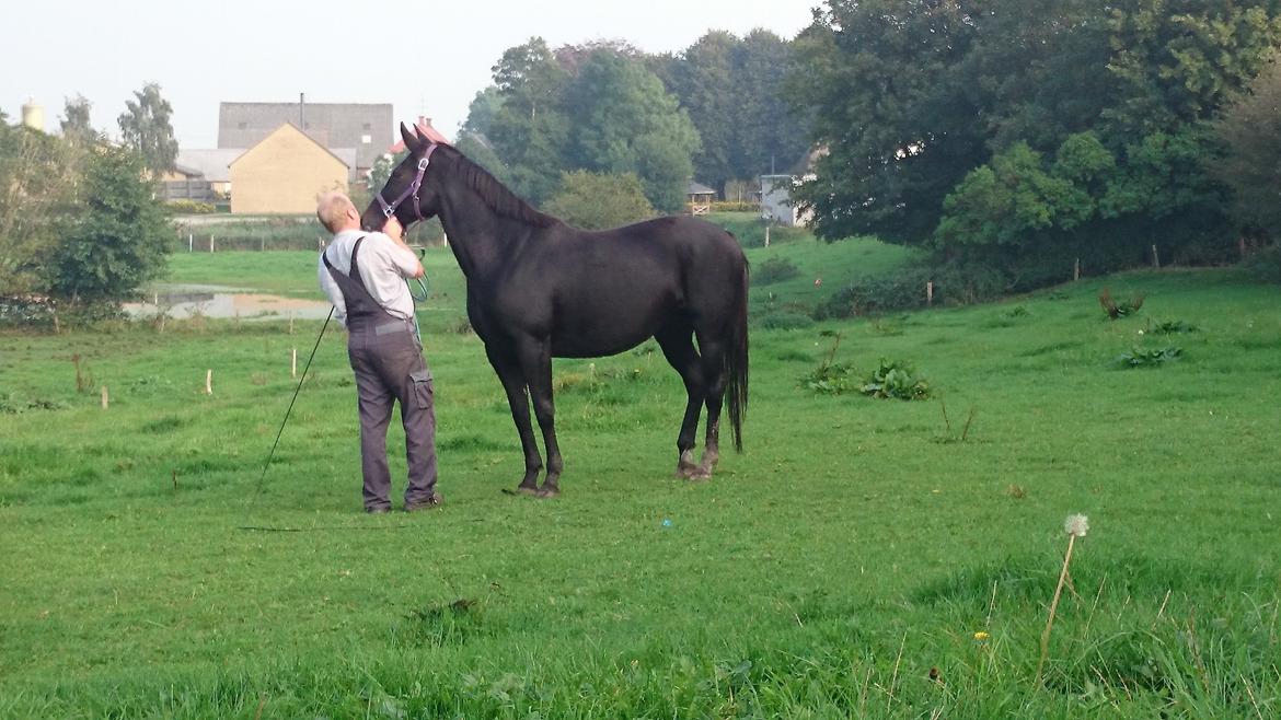 Oldenborg Ravnkjermindes Nena billede 4