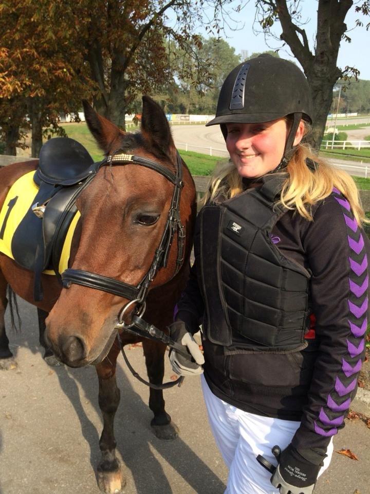 New Forest Cayenne  - Skønne pony som gjorde sit bedste  billede 1
