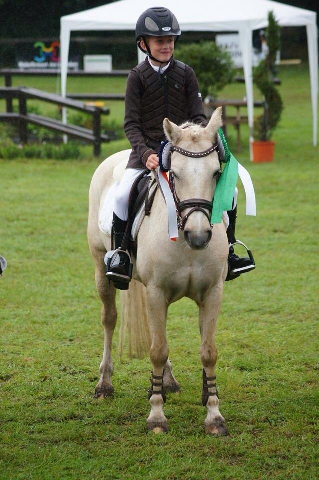 Palomino Blondie - Danmarks cup 2013 billede 8