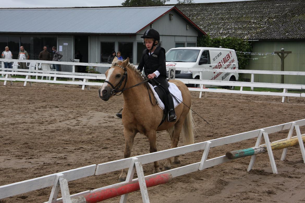 Palomino Kosmo - Et af mine første stævner på ham billede 14