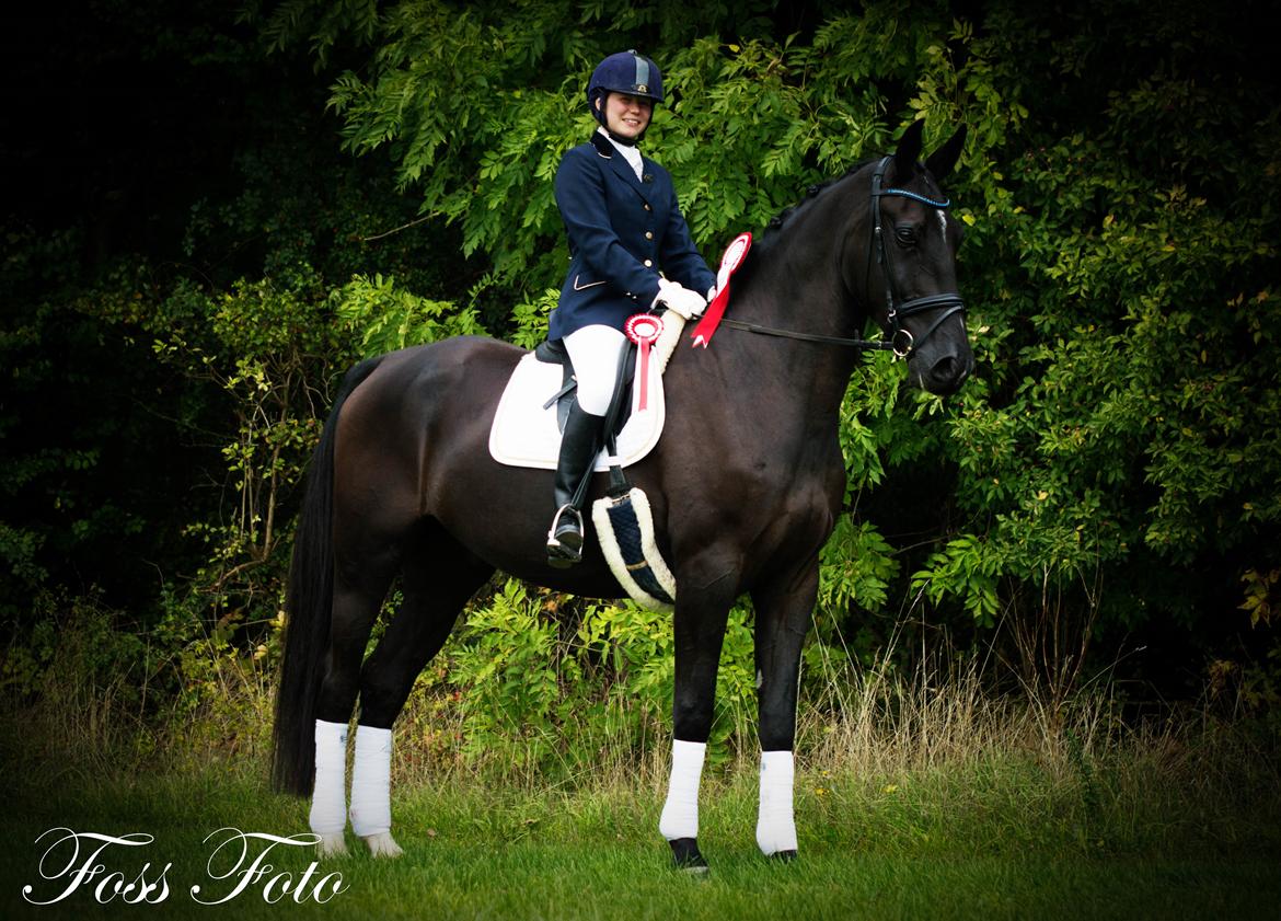 Oldenborg Safian's Con'nero billede 2