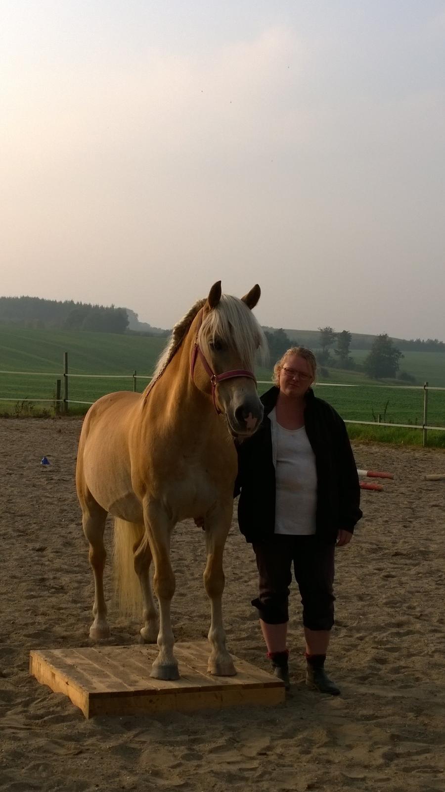 Tyroler Haflinger Rowina - d.20/9-14 hygge dag med hest ved Anja billede 6
