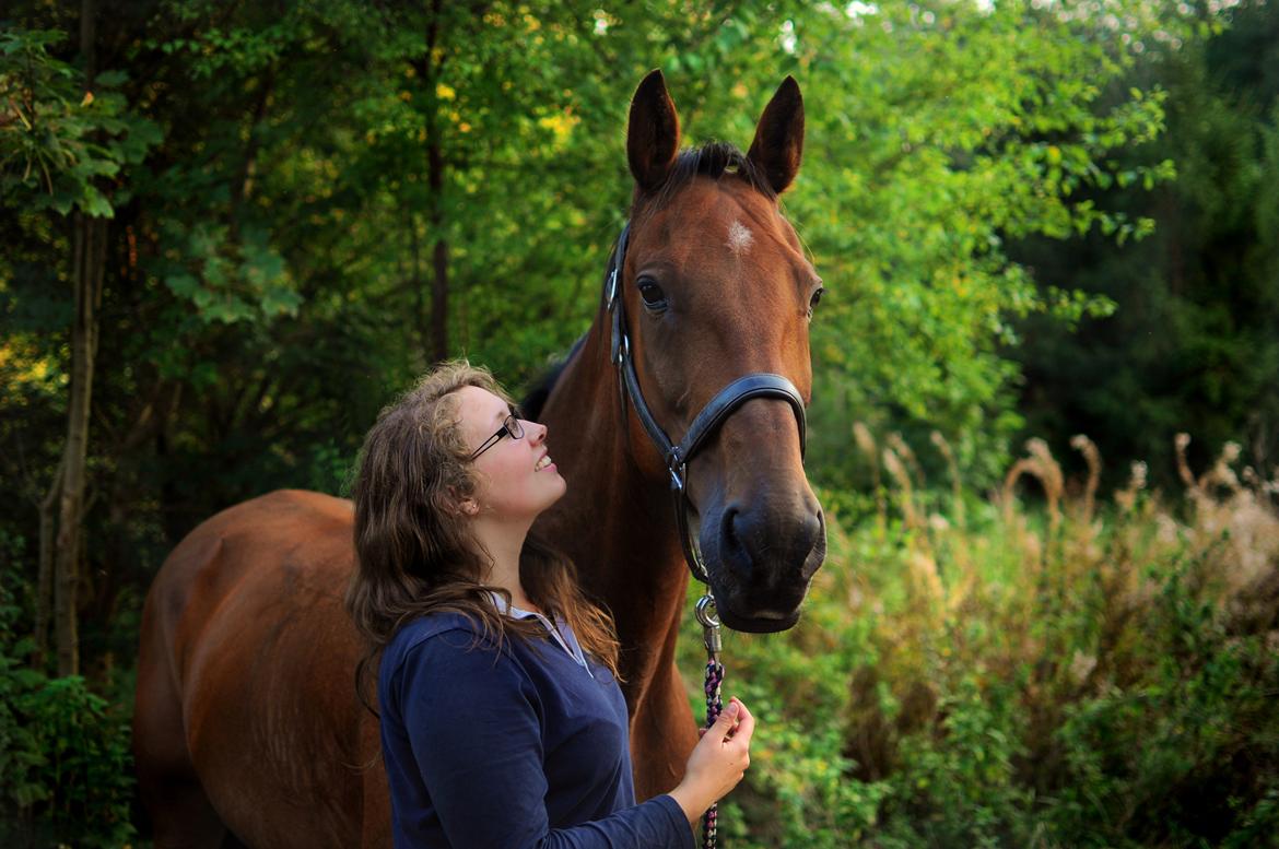 Traver Impact Kronos billede 1