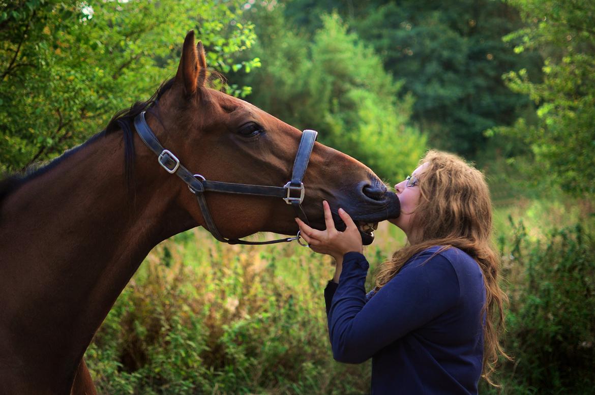 Traver Impact Kronos billede 3