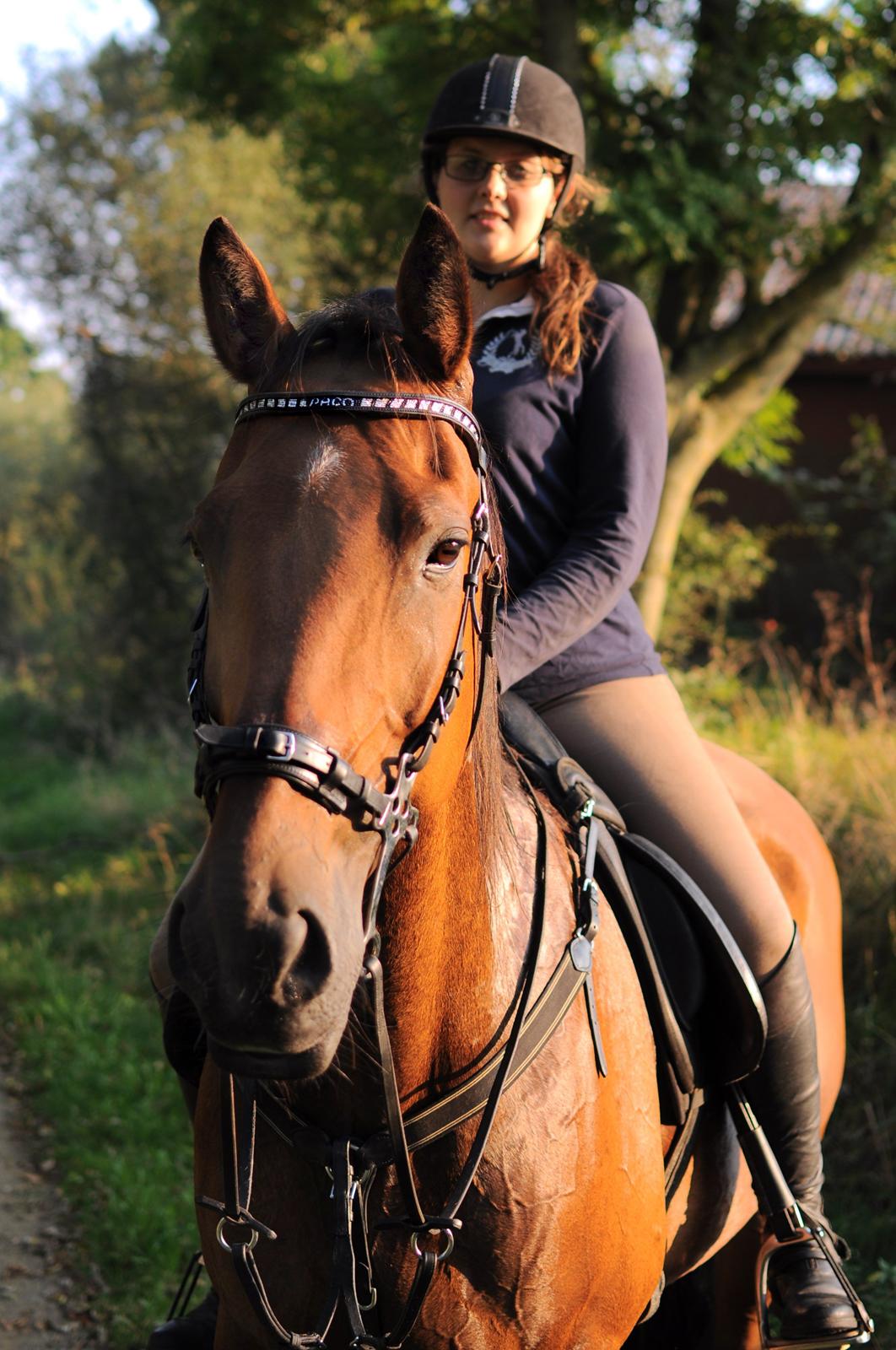 Traver Impact Kronos billede 10