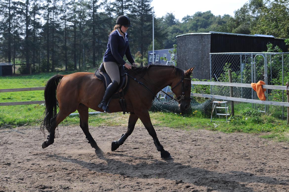 Traver Impact Kronos billede 12