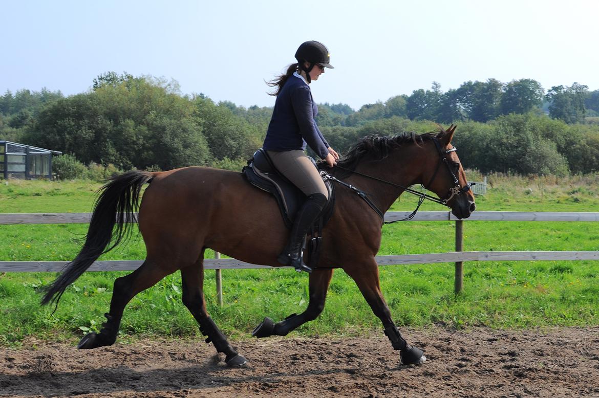 Traver Impact Kronos billede 14