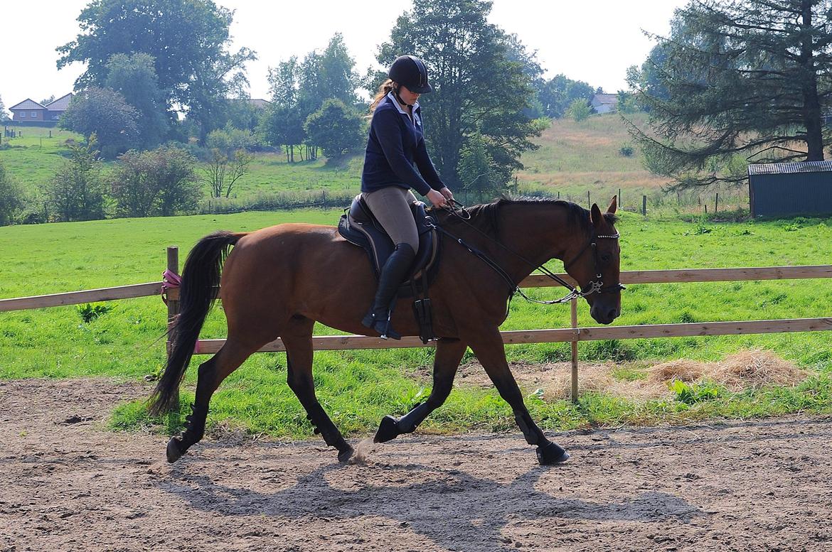 Traver Impact Kronos billede 9