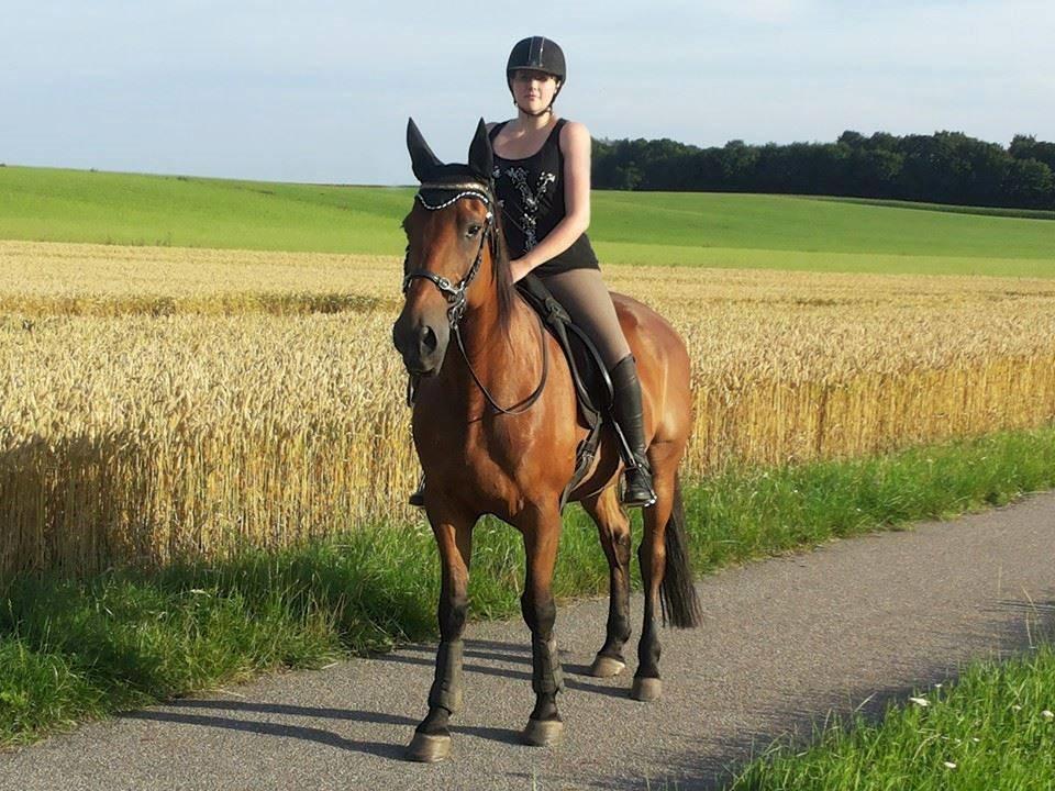 Traver Impact Kronos billede 20