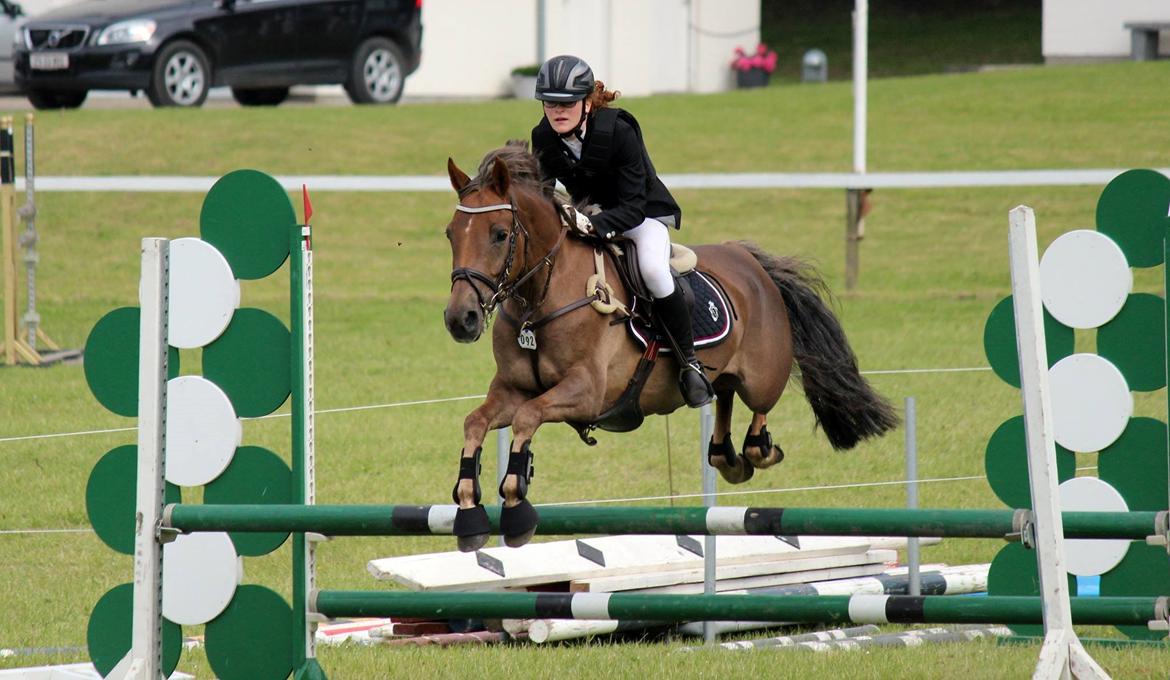 DSP Kærvangs GoldenFox - Morsø 2014 <3 - i flyvende stil! billede 4