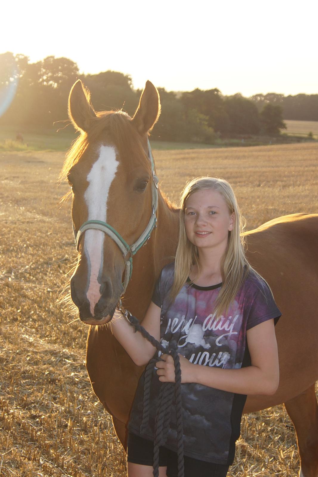 DSP Lintrupgaards spirit - Velkommen til min profil. billede 1