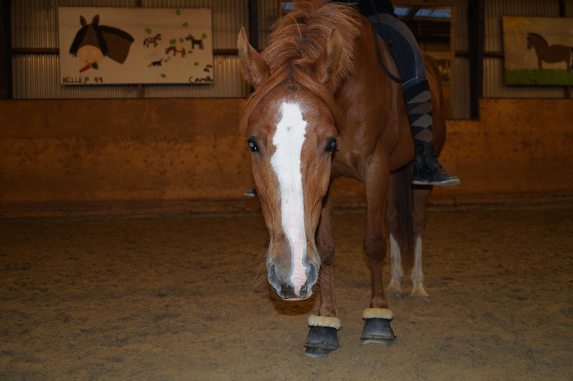 DSP Lintrupgaards spirit - ,,Det eneste der står imellem dig og din drøm, er viljen til at forsøge og troen på, at det rent faktisk er muligt." billede 9