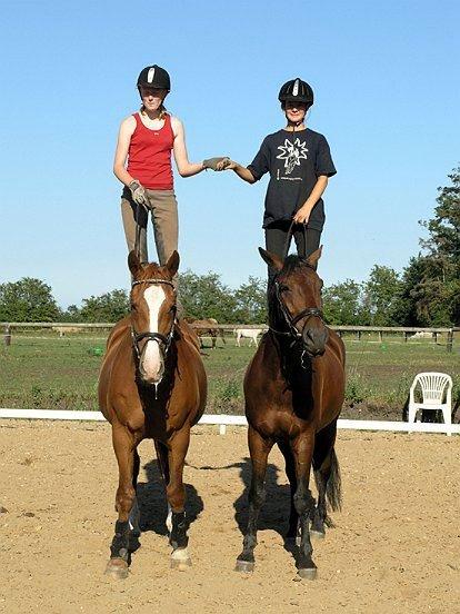 Anden særlig race Winston billede 11