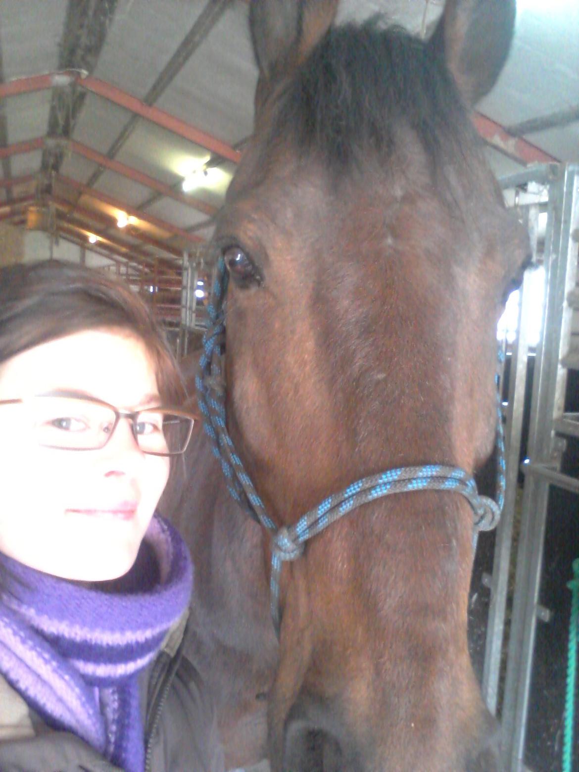 Anden særlig race Winston billede 13