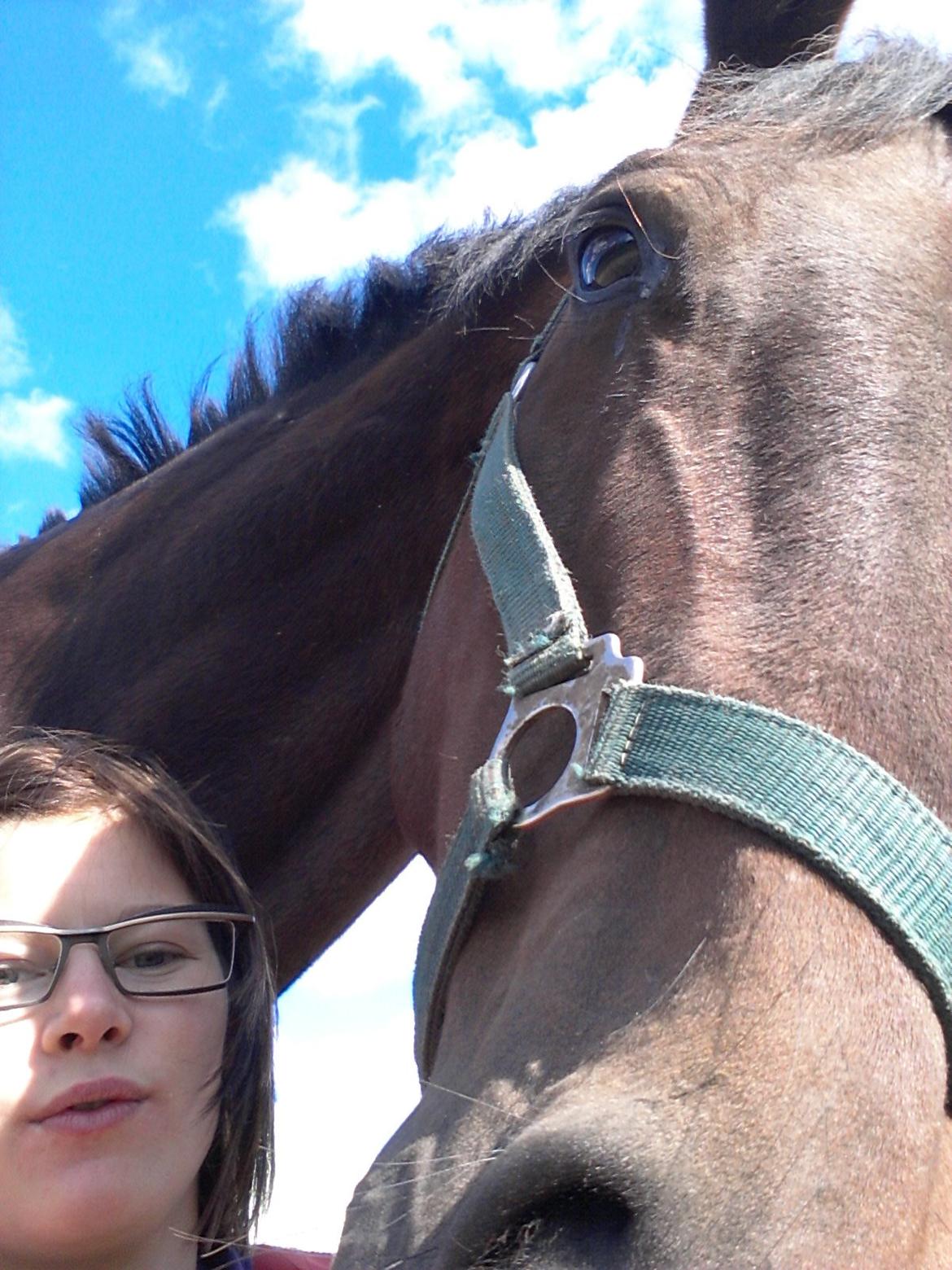 Anden særlig race Winston billede 23