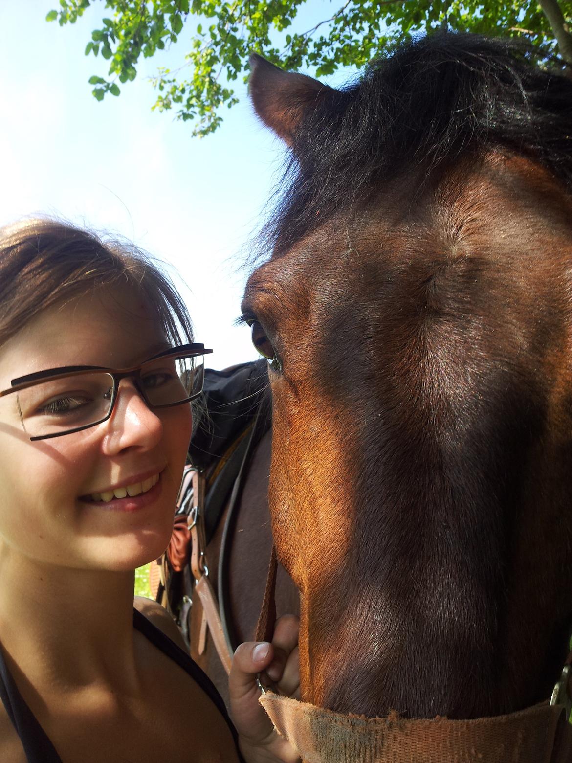 Anden særlig race Winston billede 16