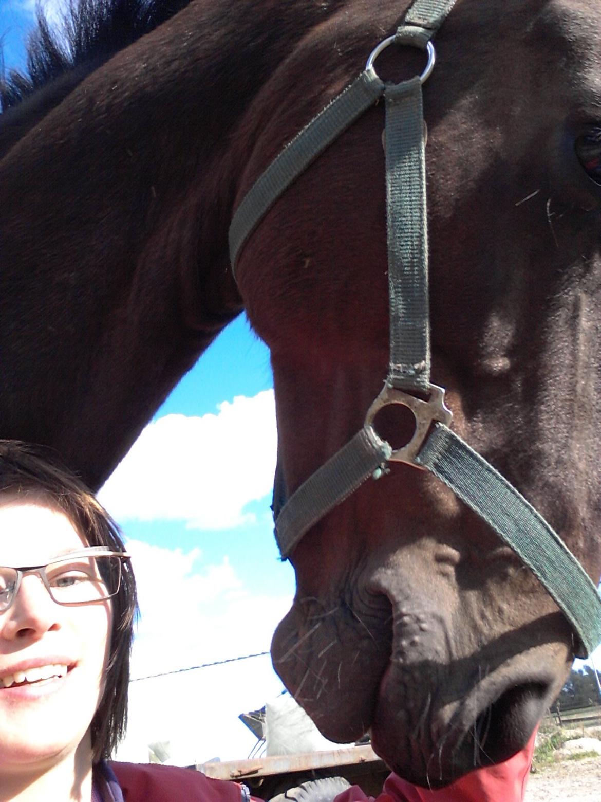 Anden særlig race Winston billede 24