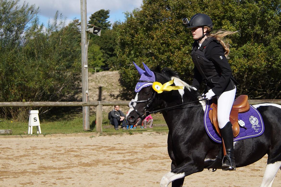 Paint Eskelunds Helga <3  - „When the world says "Give up", Hope whispers "Try one more time" billede 33