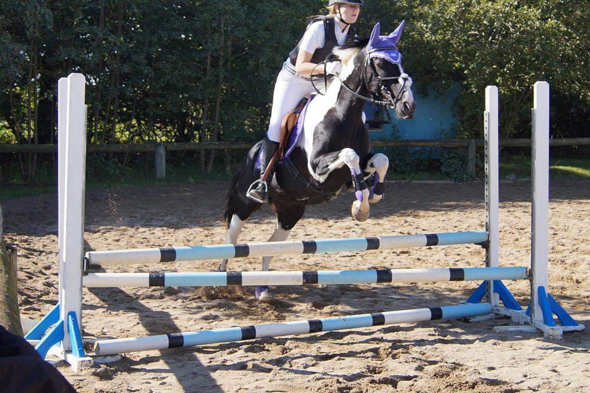 Paint Eskelunds Helga <3  - ''Sometimes you gotta fall, before you can fly''   billede 42