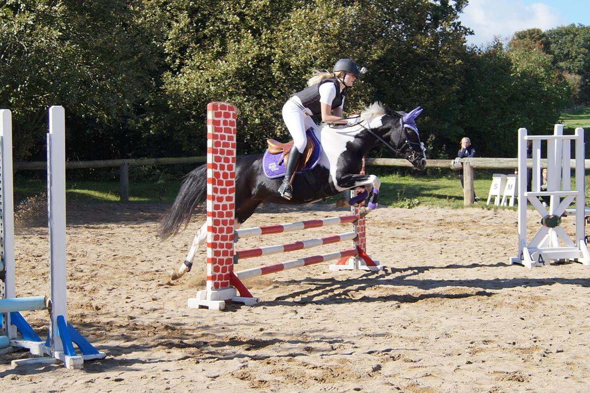 Paint Eskelunds Helga <3  billede 36