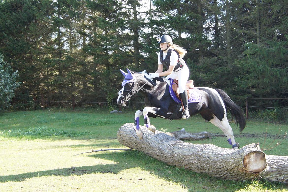 Paint Eskelunds Helga <3  - Første gang vi springer træstamme :D <3  billede 38