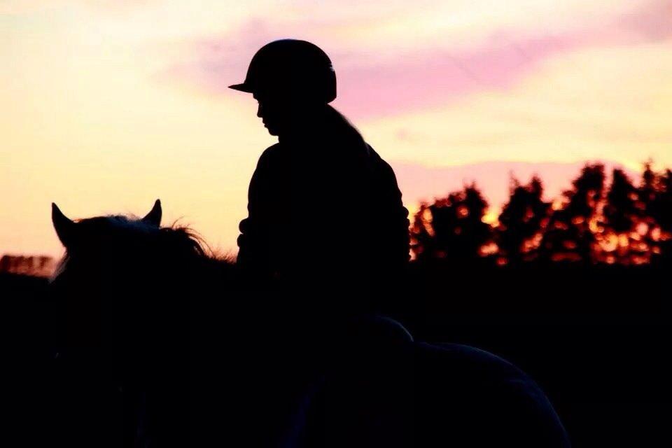 Fjordhest • Emma Godthaab  - <3 <3 <3 billede 20