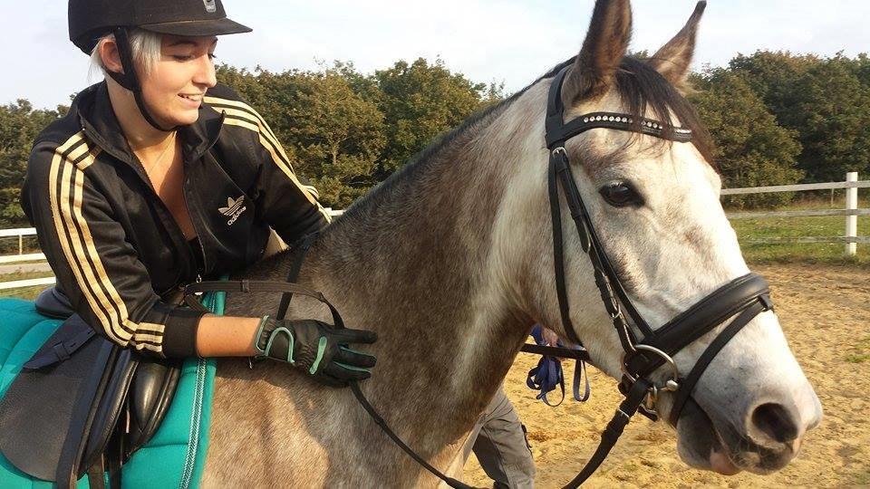 Anden særlig race Pegasus billede 16