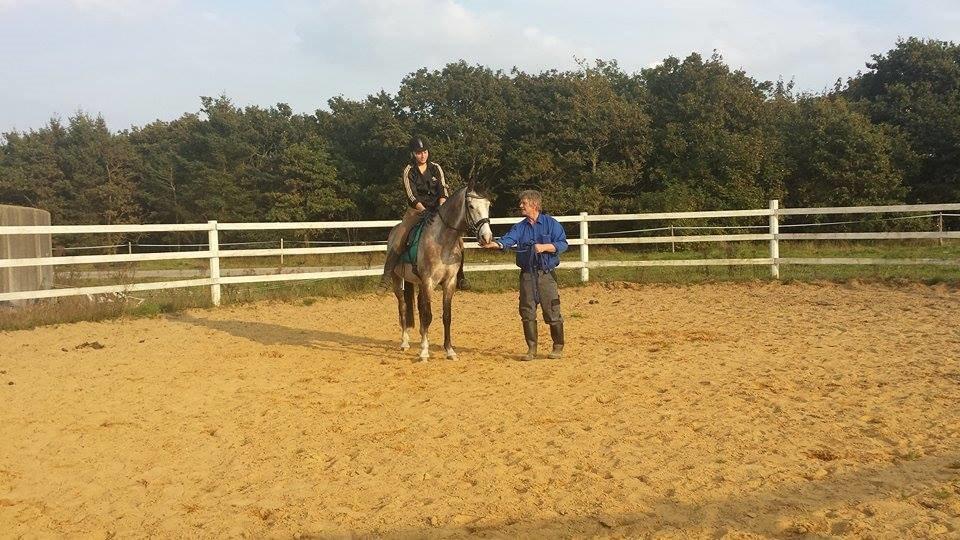 Anden særlig race Pegasus - Oppe at sidde for første gang :-) d. 20/9-14 billede 18