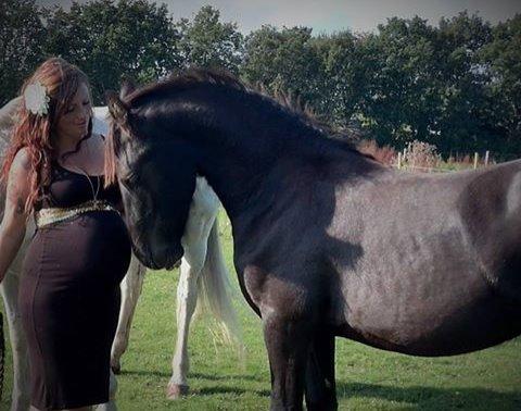 Frieser Uhrbrandsmindes Malik <3 billede 15