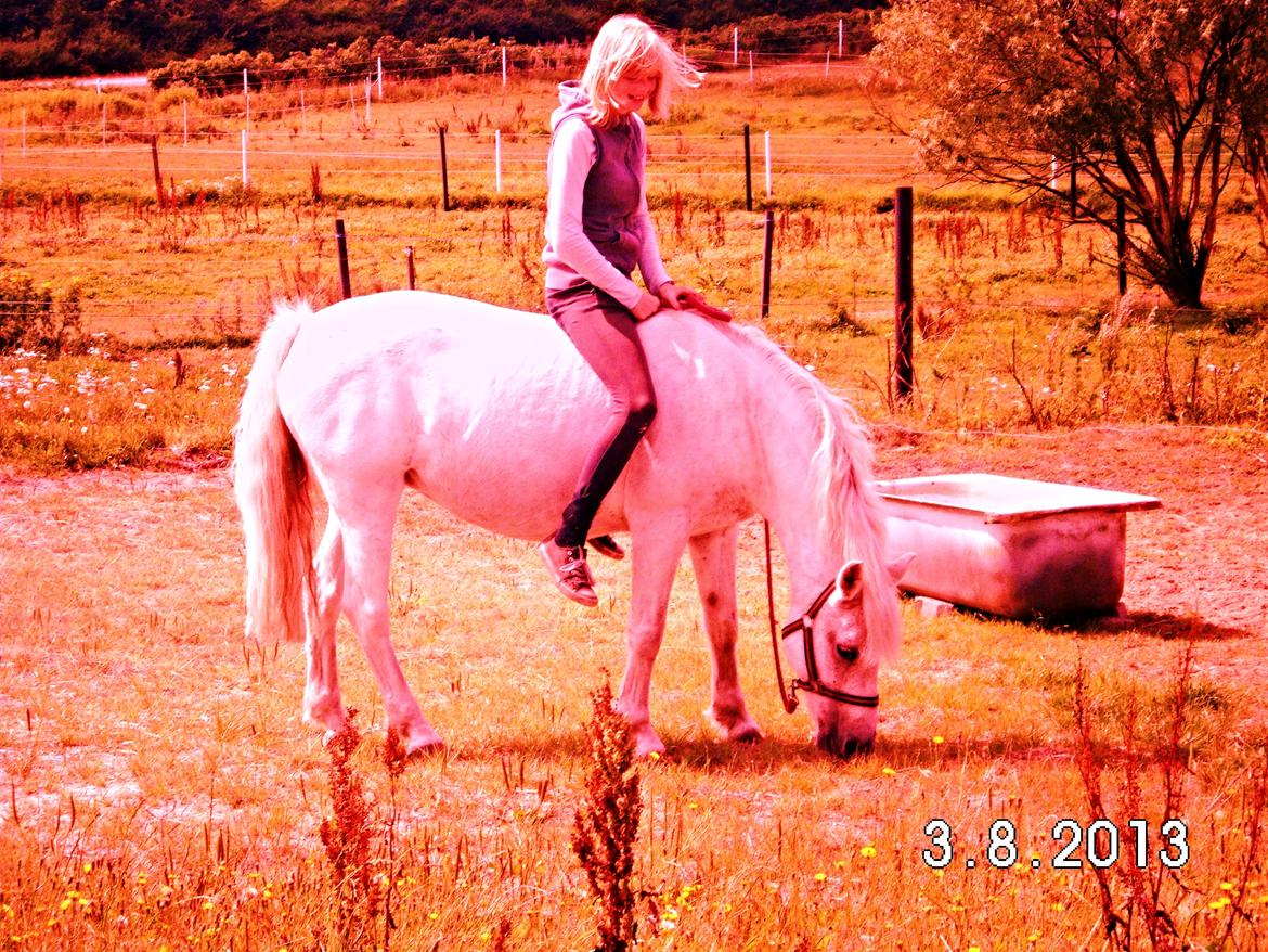 Anden særlig race Plet Farvel mit 1 og alt! </3 - " I wish I could freeze this moment, right here, right now and live in it forever"  billede 1