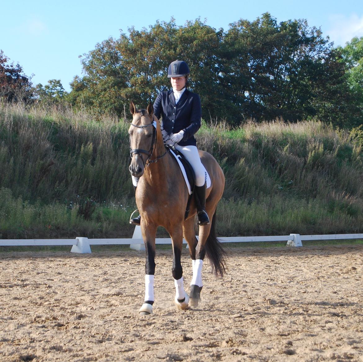 Akhal-Tekiner SHERHAN billede 29