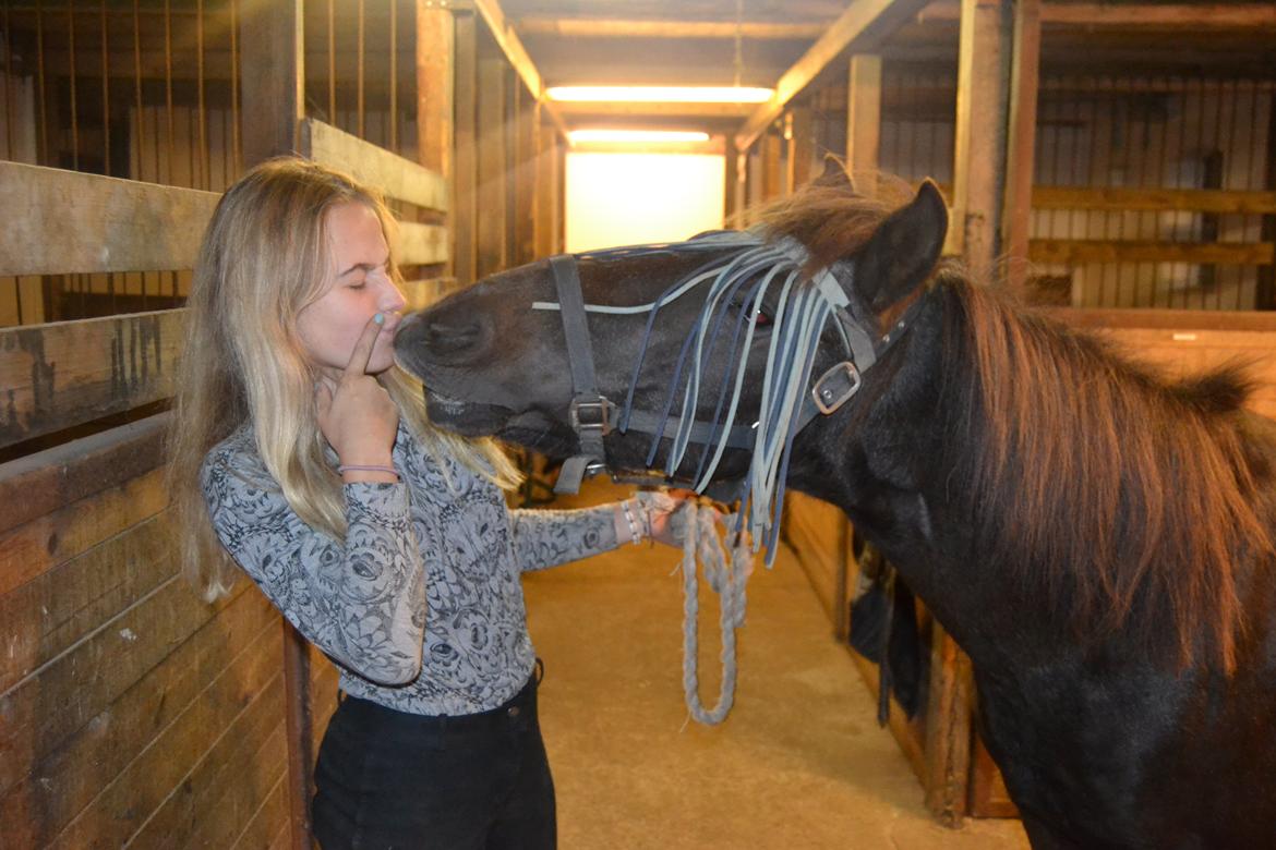 Islænder Röskva [Tidl. part] - September 2014 billede 13