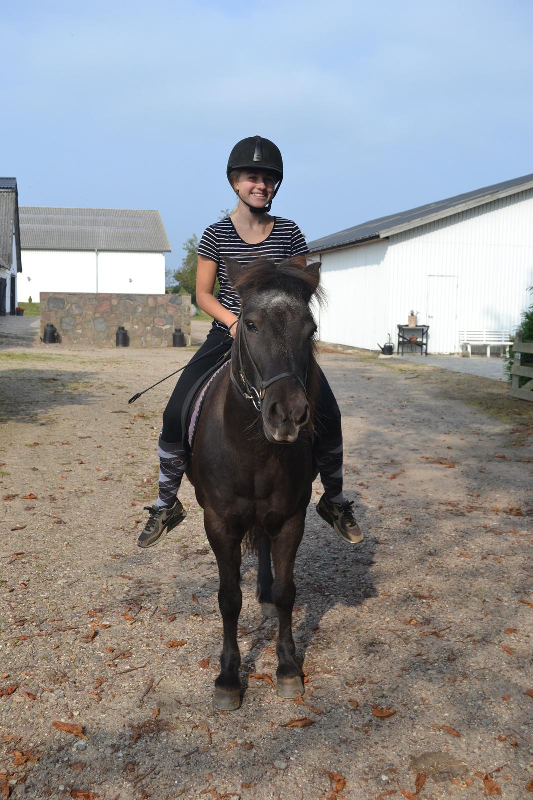 Islænder Röskva [Tidl. part] - September 2014  billede 16