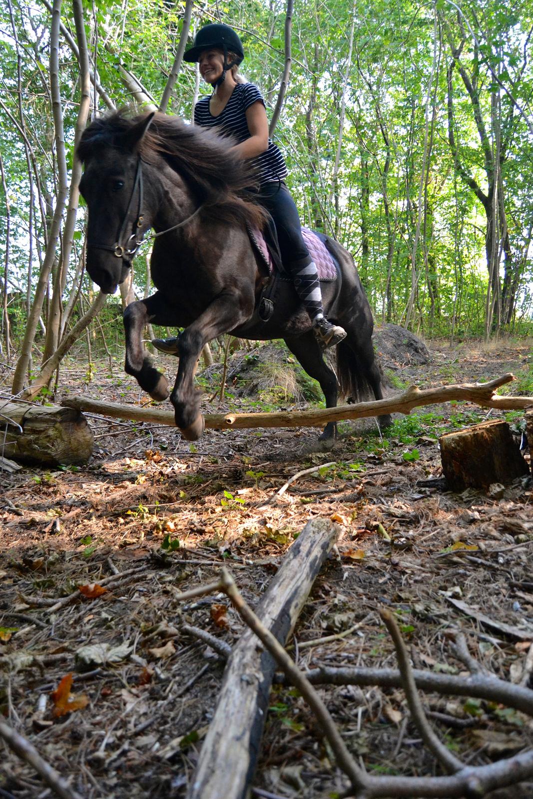 Islænder Röskva [Tidl. part] - Første gang vi springer - September 2014  billede 12